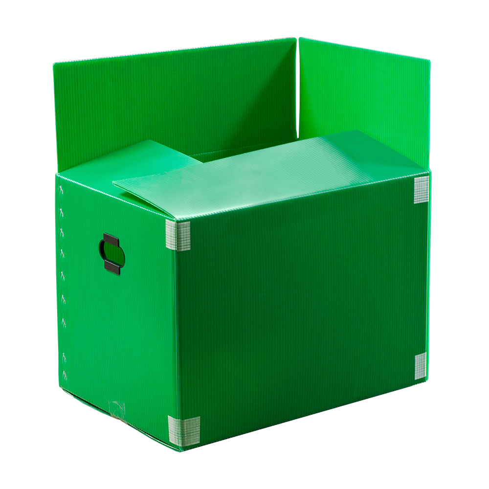 단프라박스A형(소)