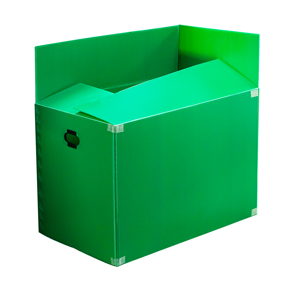 단프라박스A형(중)