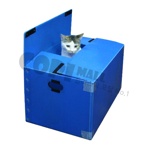 단프라박스AB형(중)