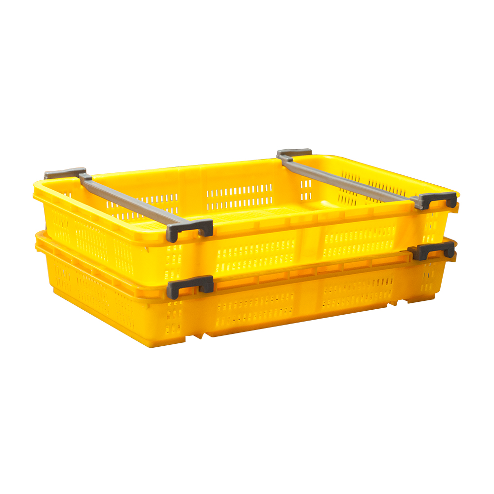 블루베리상자(대) (어상자5호)