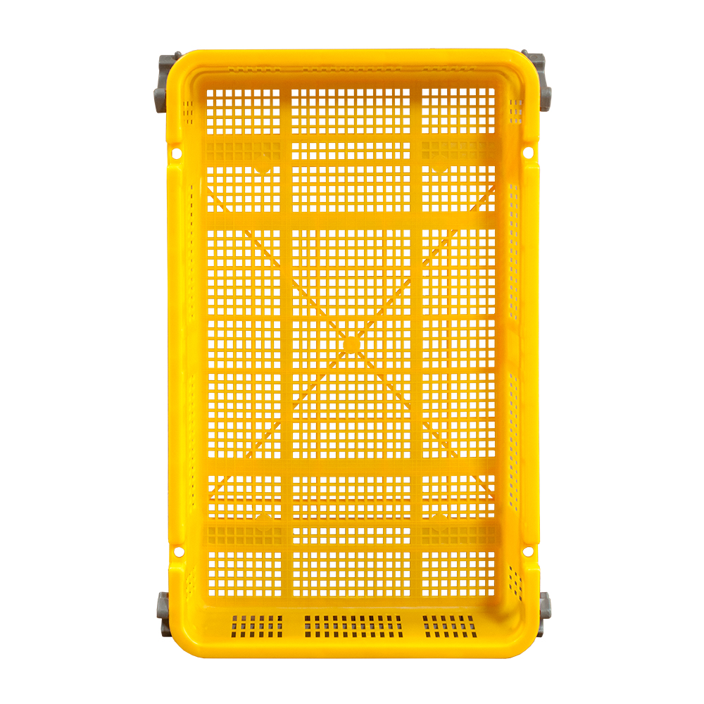블루베리상자(대) (어상자5호)