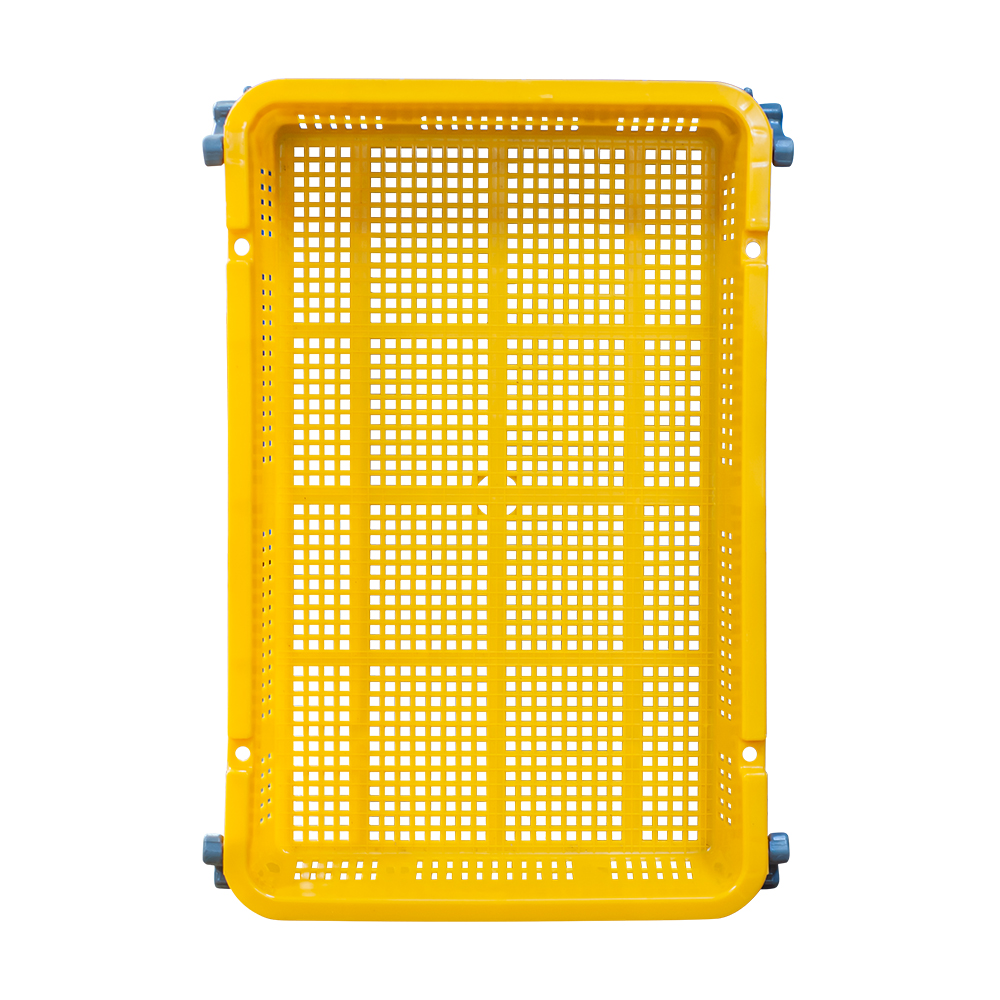 블루베리상자(소) (어상자4호)