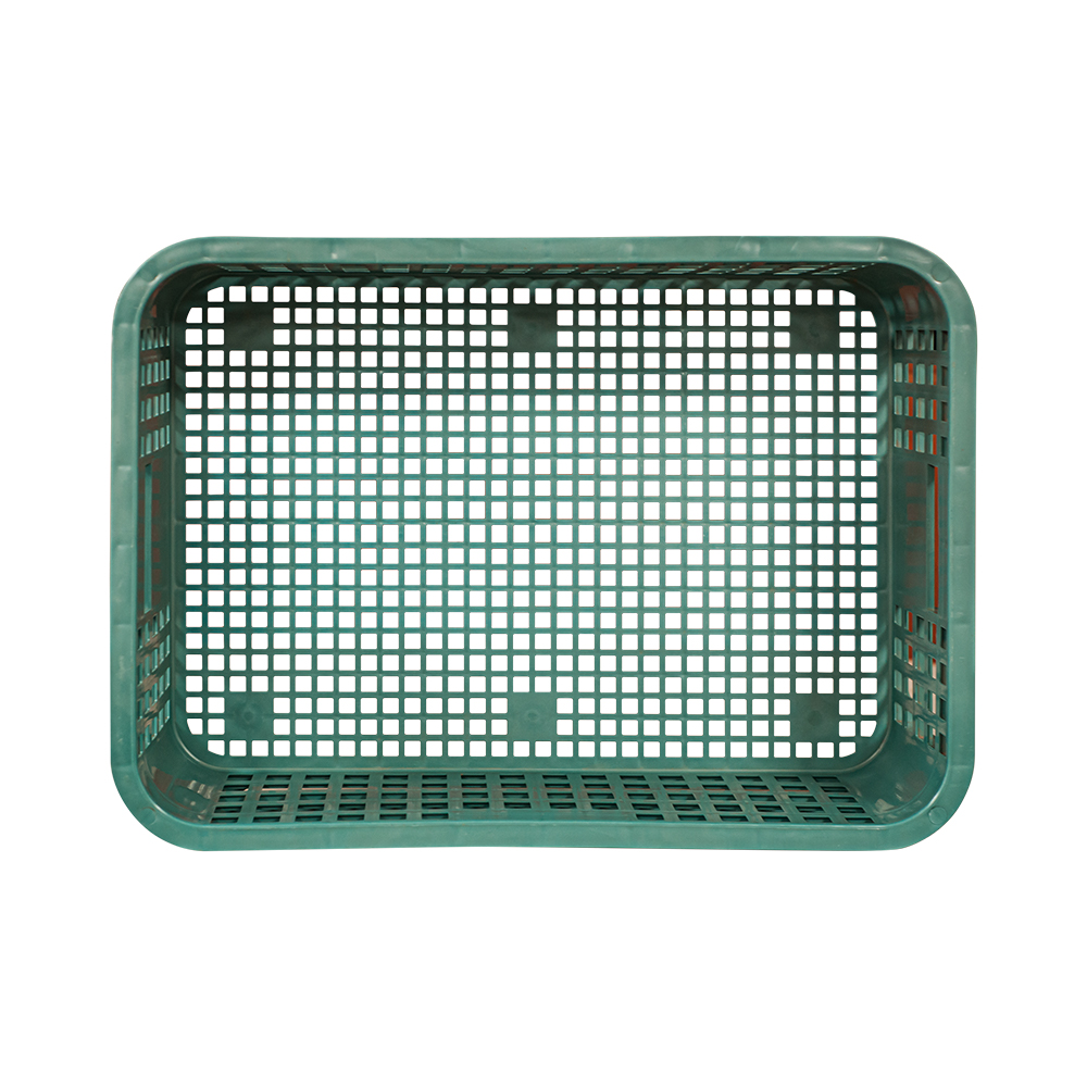 계육상자3호 / 재생