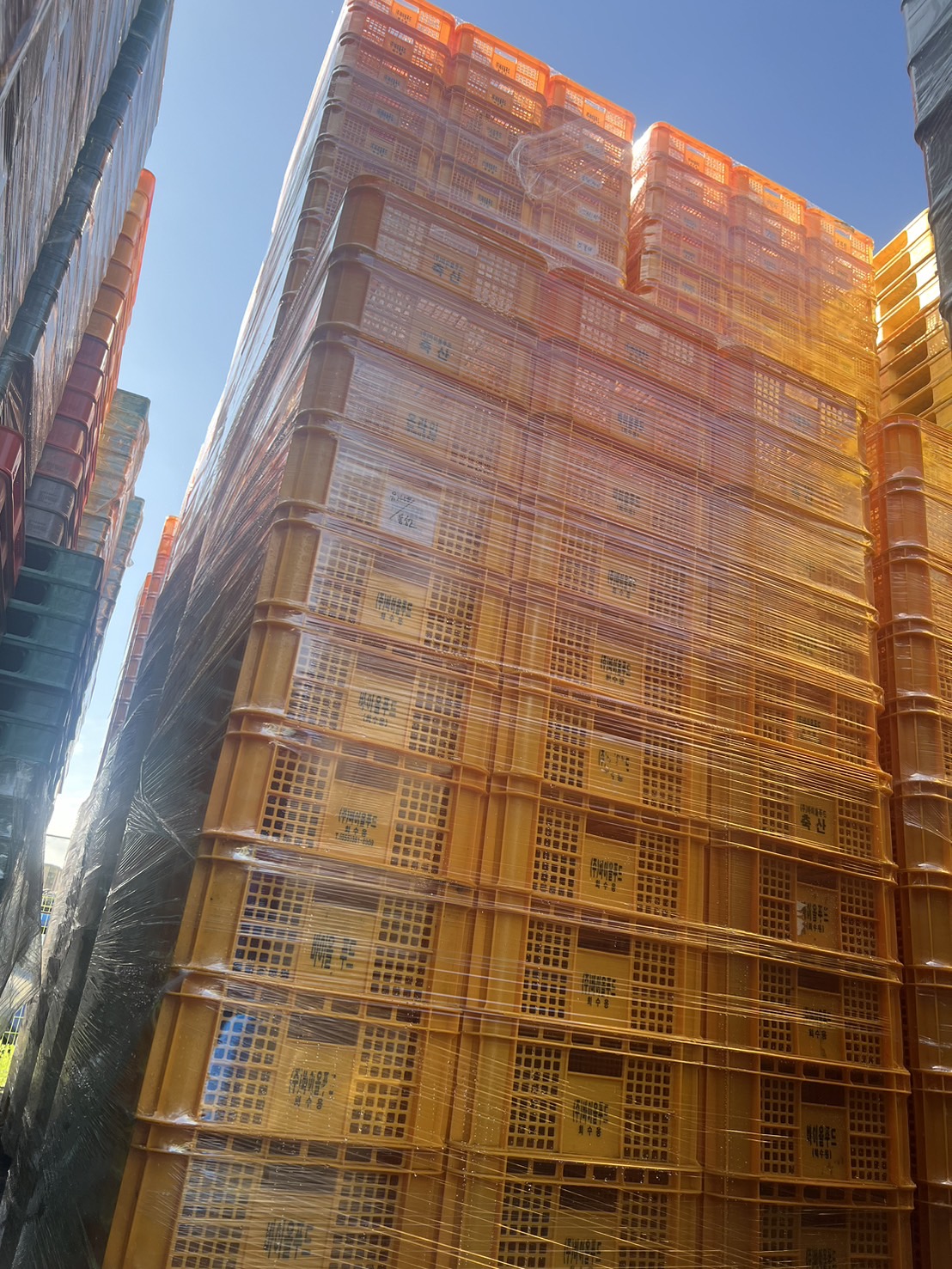 [중고]계육상자(노랑)