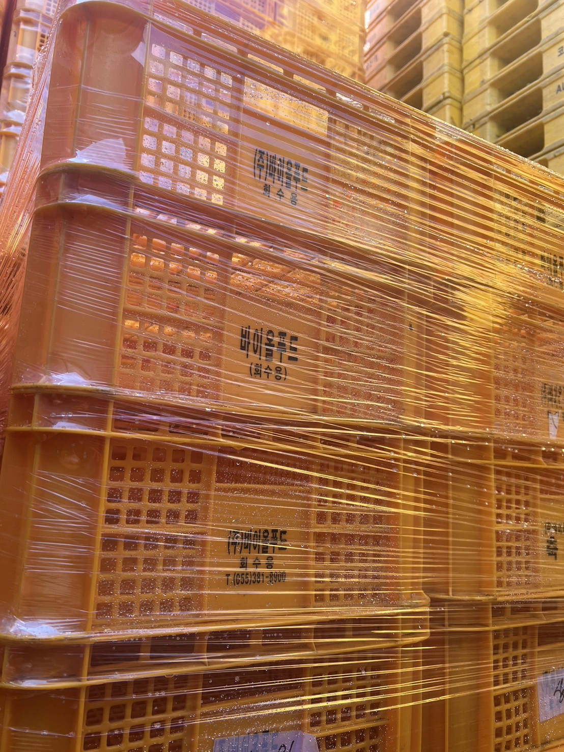 [중고]계육상자(노랑)