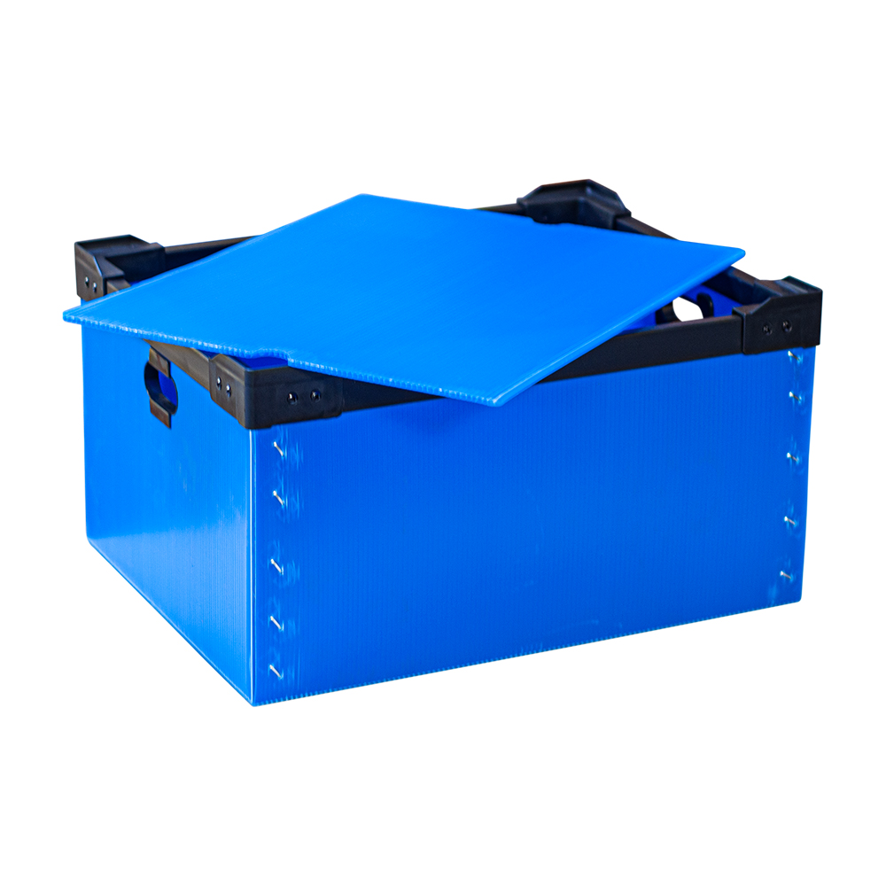 단프라박스CT형(소,중,대) 전용뚜껑